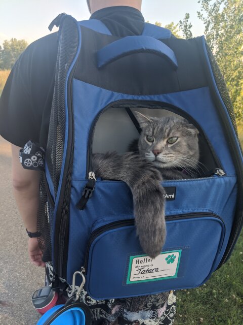 He also likes not walking